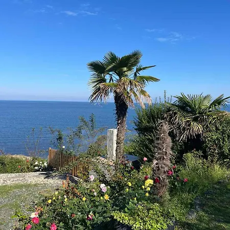 فندق арапя تساريفو