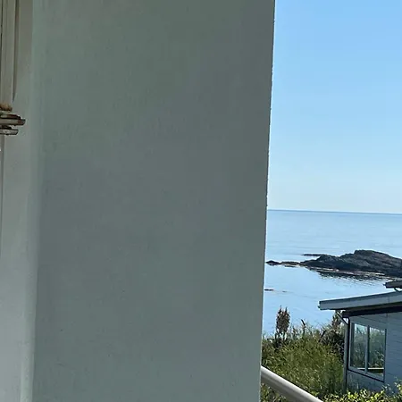 арапя تساريفو